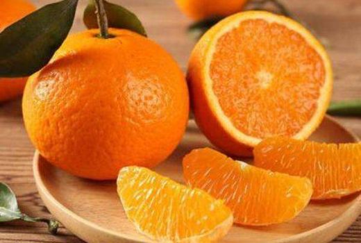 种植青见柑橘要注意什么?青见柑橘是转基因水果吗?