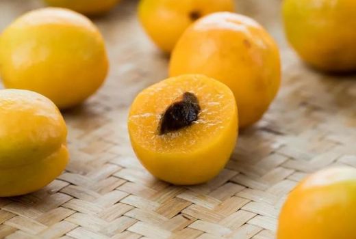 没熟的杏子能吃吗?吃杏子有什么好处?