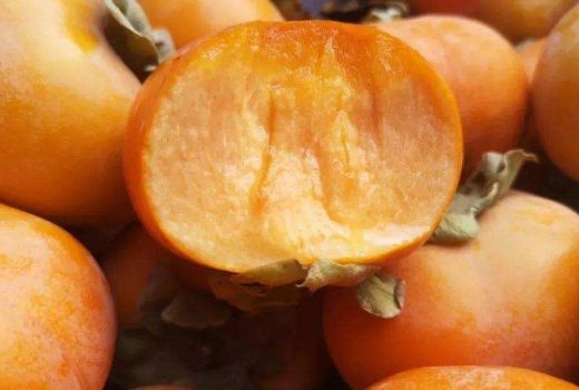 吃脆柿子可以减肥吗?脆柿子的吃法