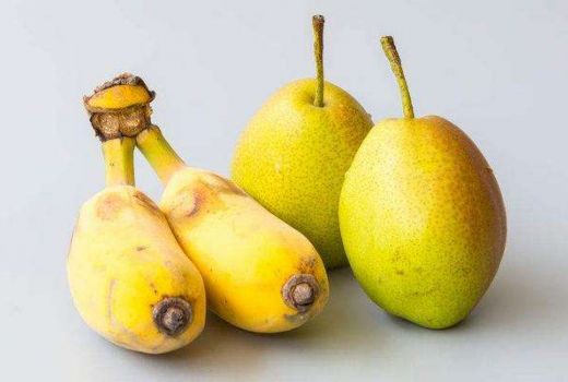 香蕉梨怎么吃?香蕉梨的食用禁忌