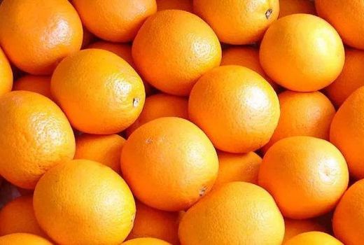 橙子如何挑选?橙子可以放冰箱吗?