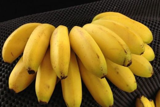 芭蕉是几月的水果?芭蕉和香蕉的区别
